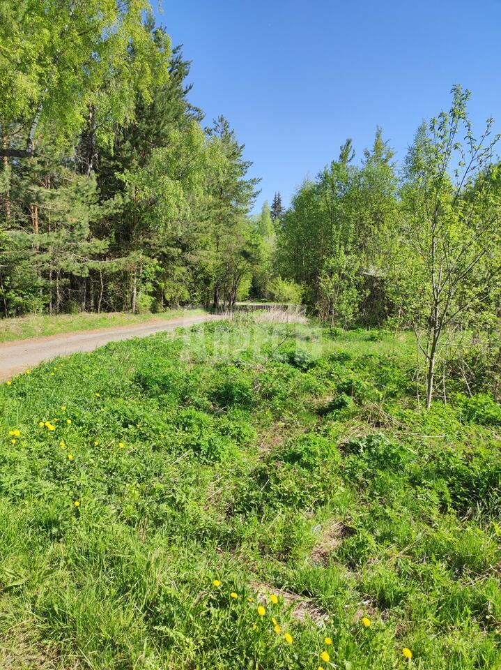 участок, Русское поле (деревня Скрипорово)